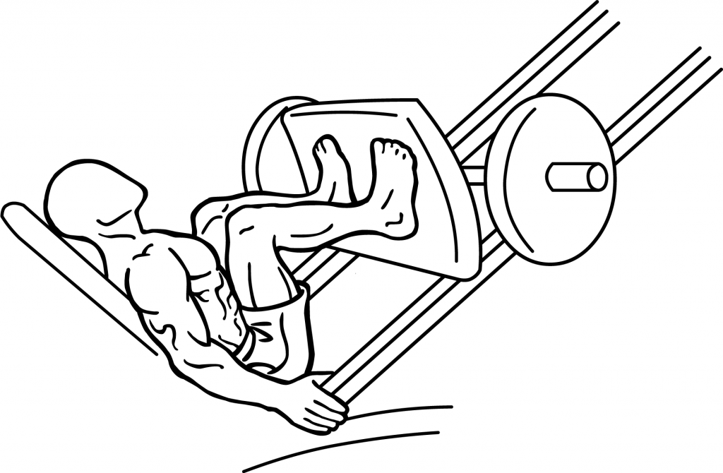 Leg Press, end position, line drawing by Everkinetic