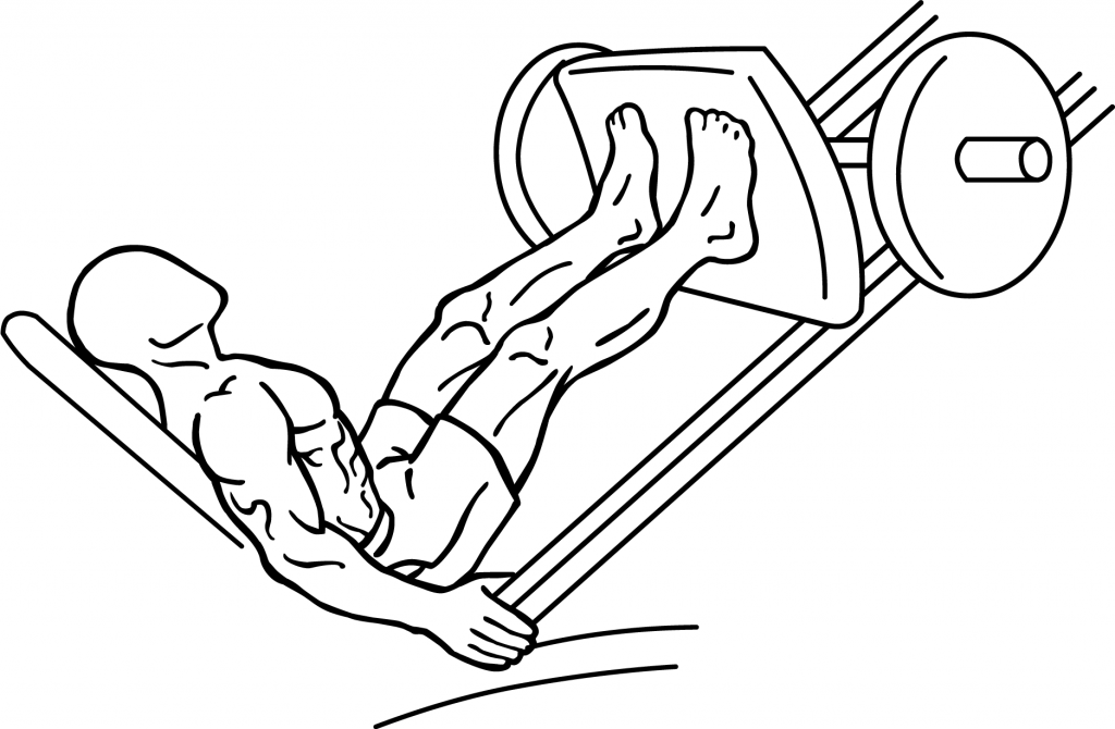 Leg Press, start position, line drawing by Everkinetic
